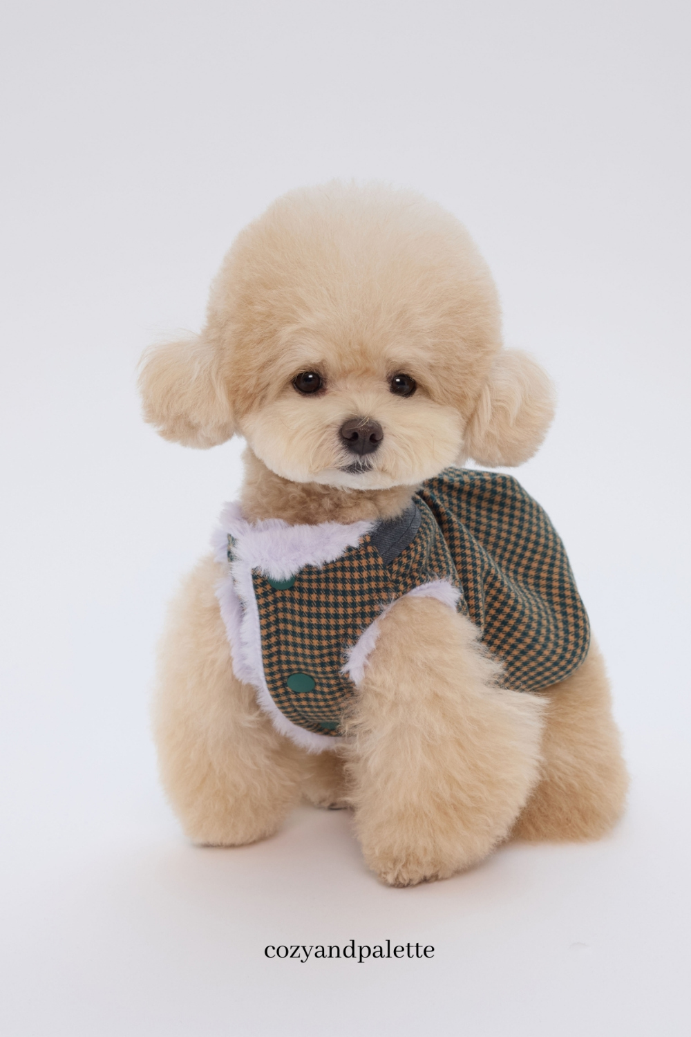 COZY-N Cozy Mood 雙面舒適鋪毛夾克_薰衣草格紋