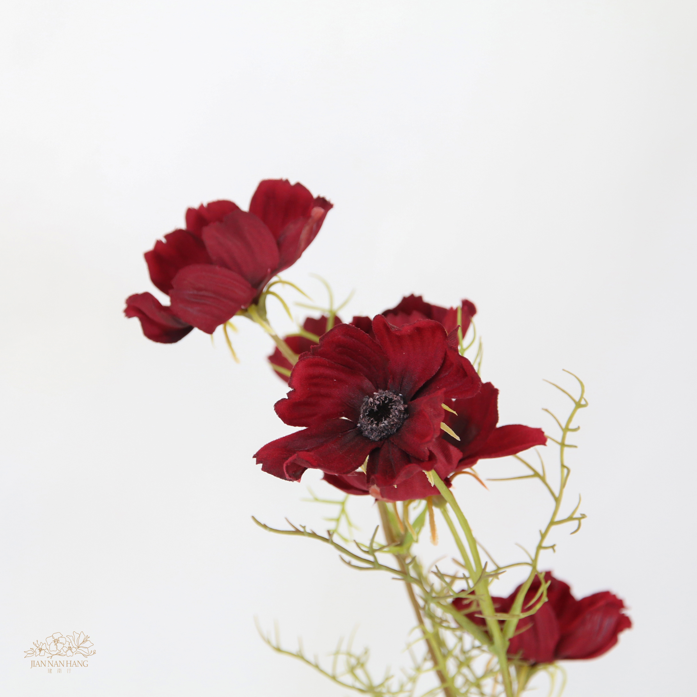 人造花 巧克力波斯菊 2色