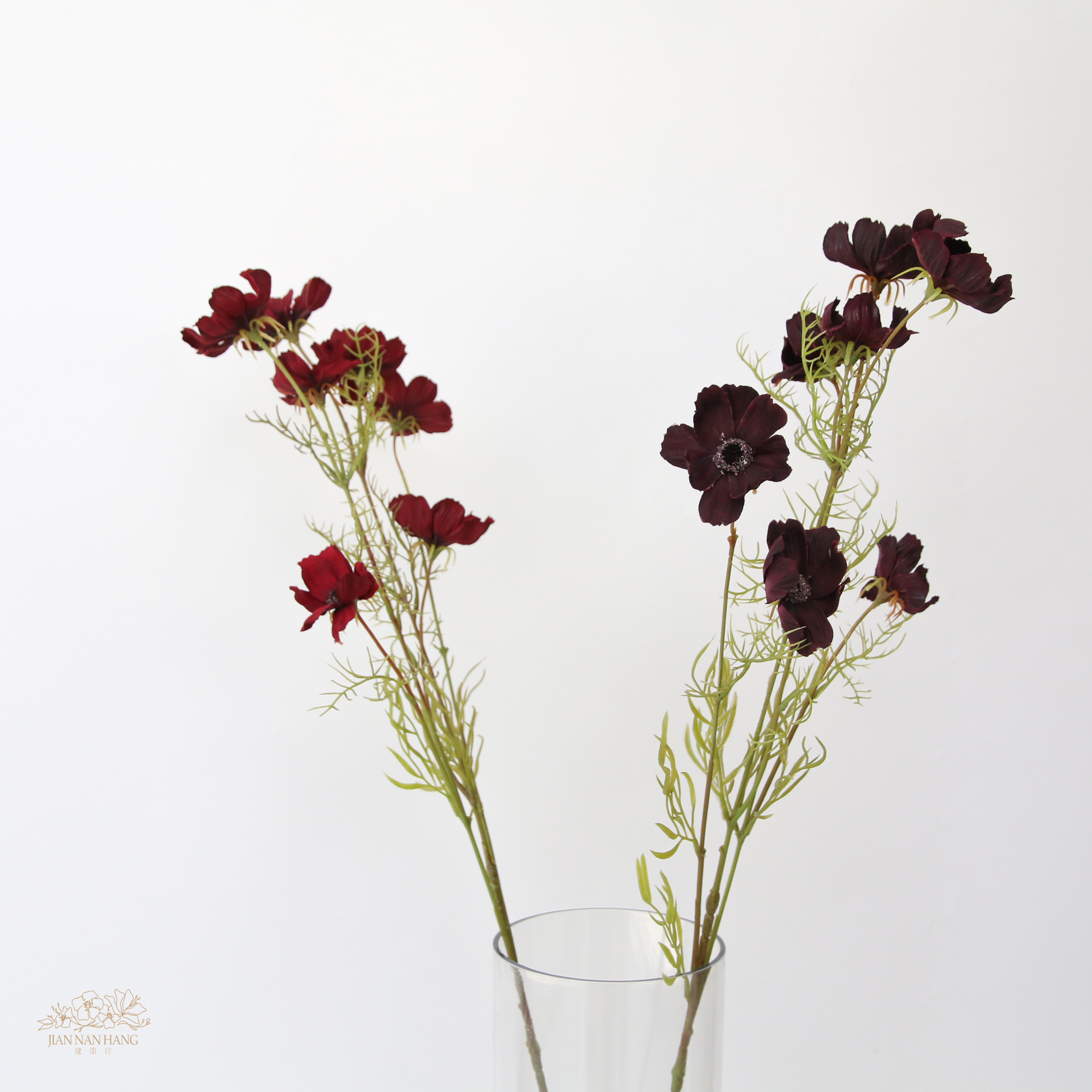 人造花 巧克力波斯菊 2色