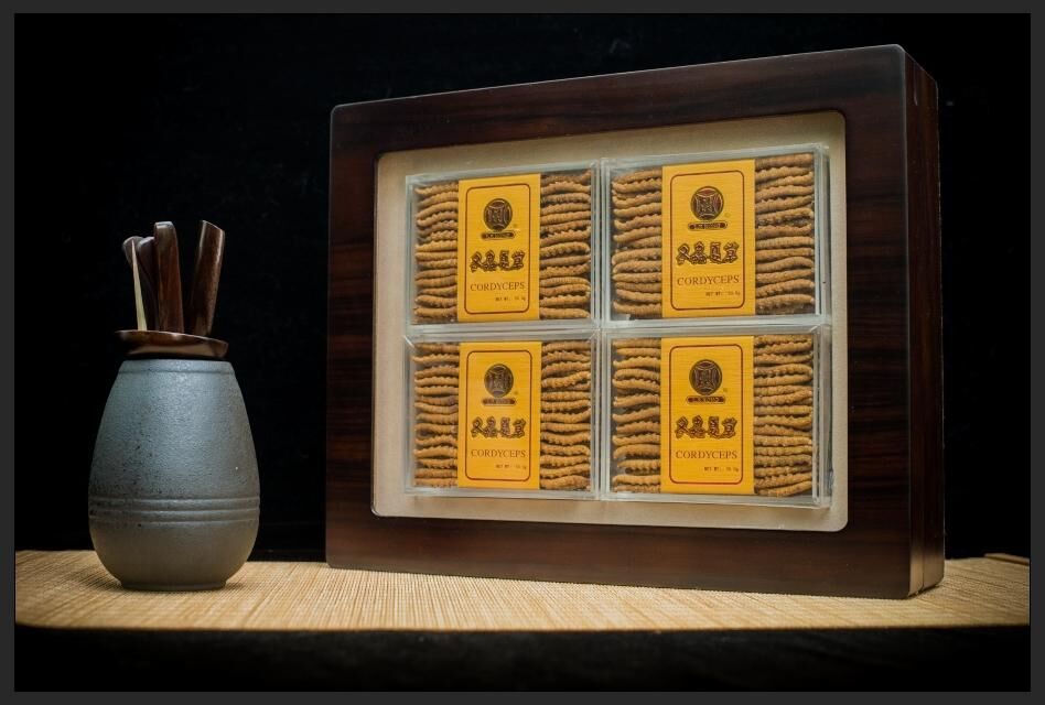 H20579 西藏野生那曲原枝肥大冬蟲夏草肉🐛