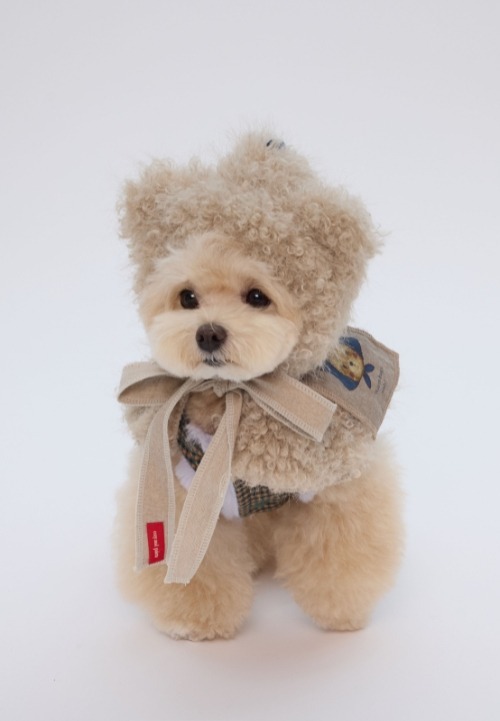 COZY-N 泰迪熊連帽披肩