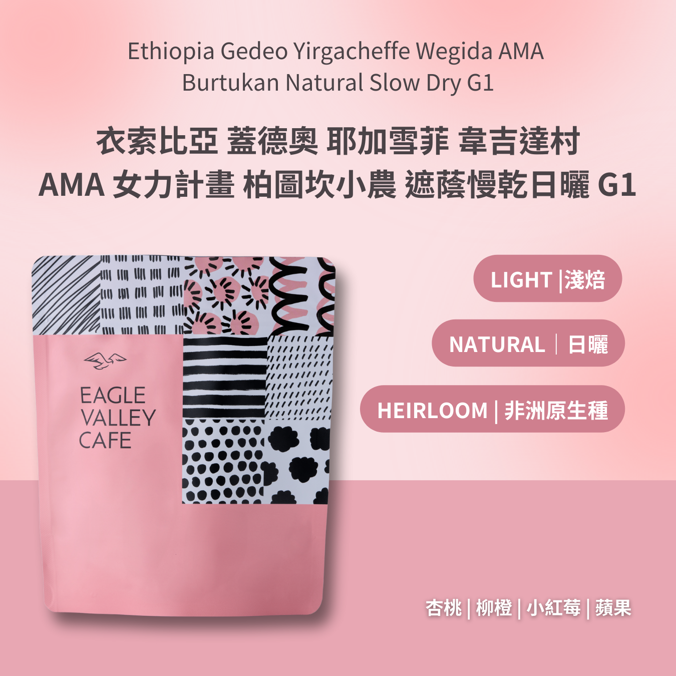 衣索比亞 蓋德奧 耶加雪菲 韋吉達村 AMA 女力計畫 柏圖坎小農 遮蔭慢乾日曬 G1 淺焙 咖啡豆