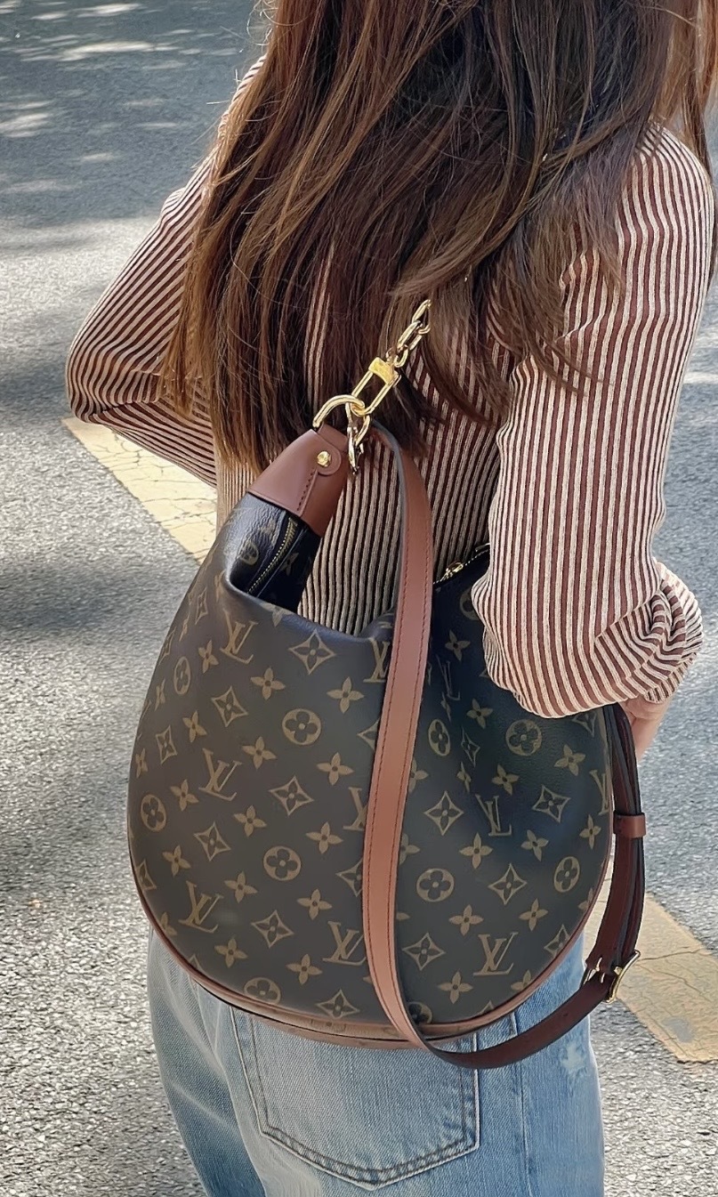 Louis Vuitton LV 月亮包 大號
