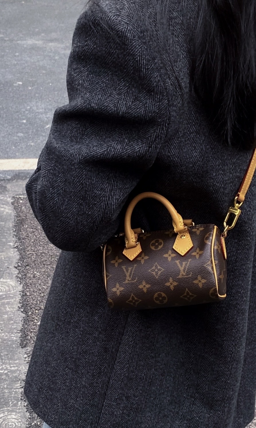 LOUIS VUITTON LV Nano Speedy 波士頓 手袋