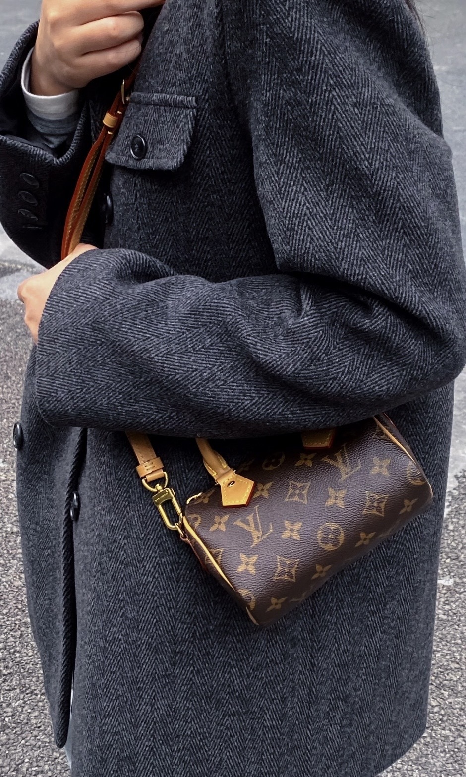 LOUIS VUITTON LV Nano Speedy 波士頓 手袋