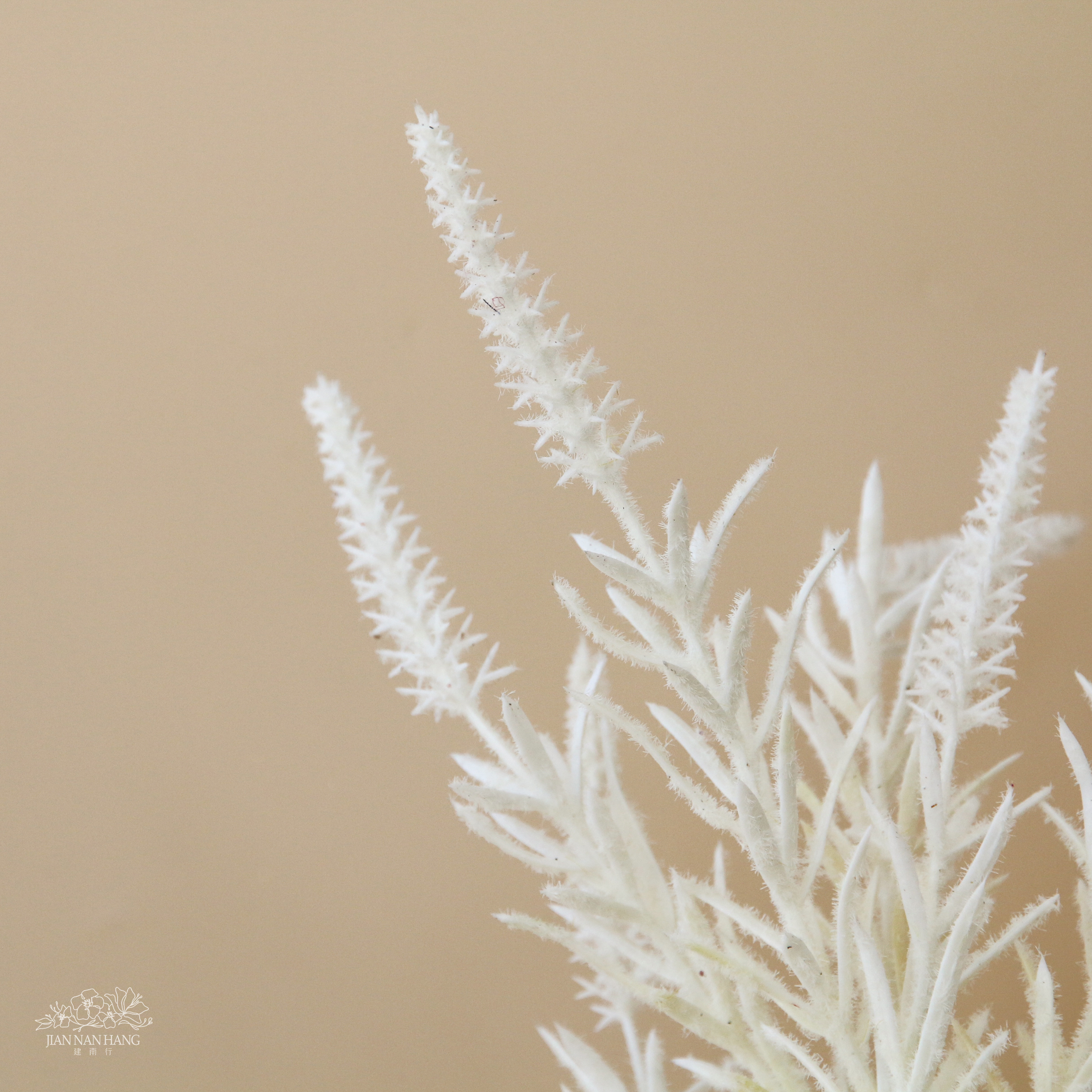 人造花 金合歡長枝 噴雪