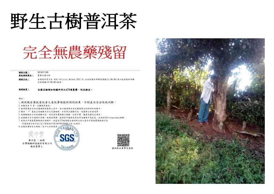 緬甸果敢古樹普洱茶禮盒(兩罐入)
