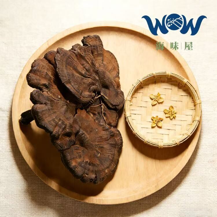 H20587 養生黨必睇｜靈芝