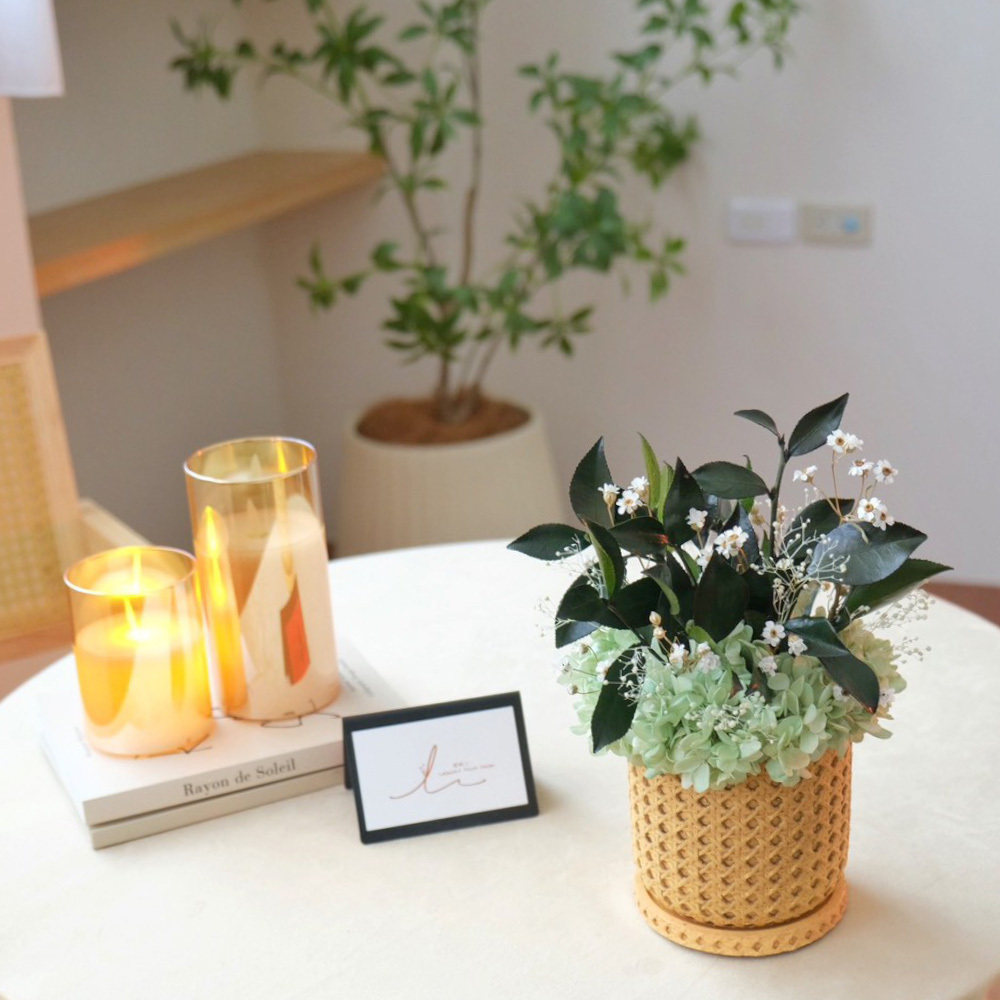 永生盆花 / 桂花葉