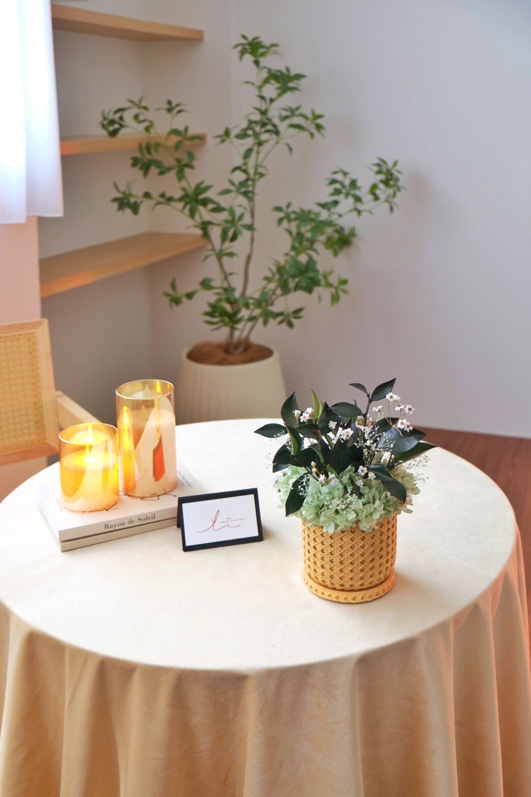 永生盆花 / 桂花葉