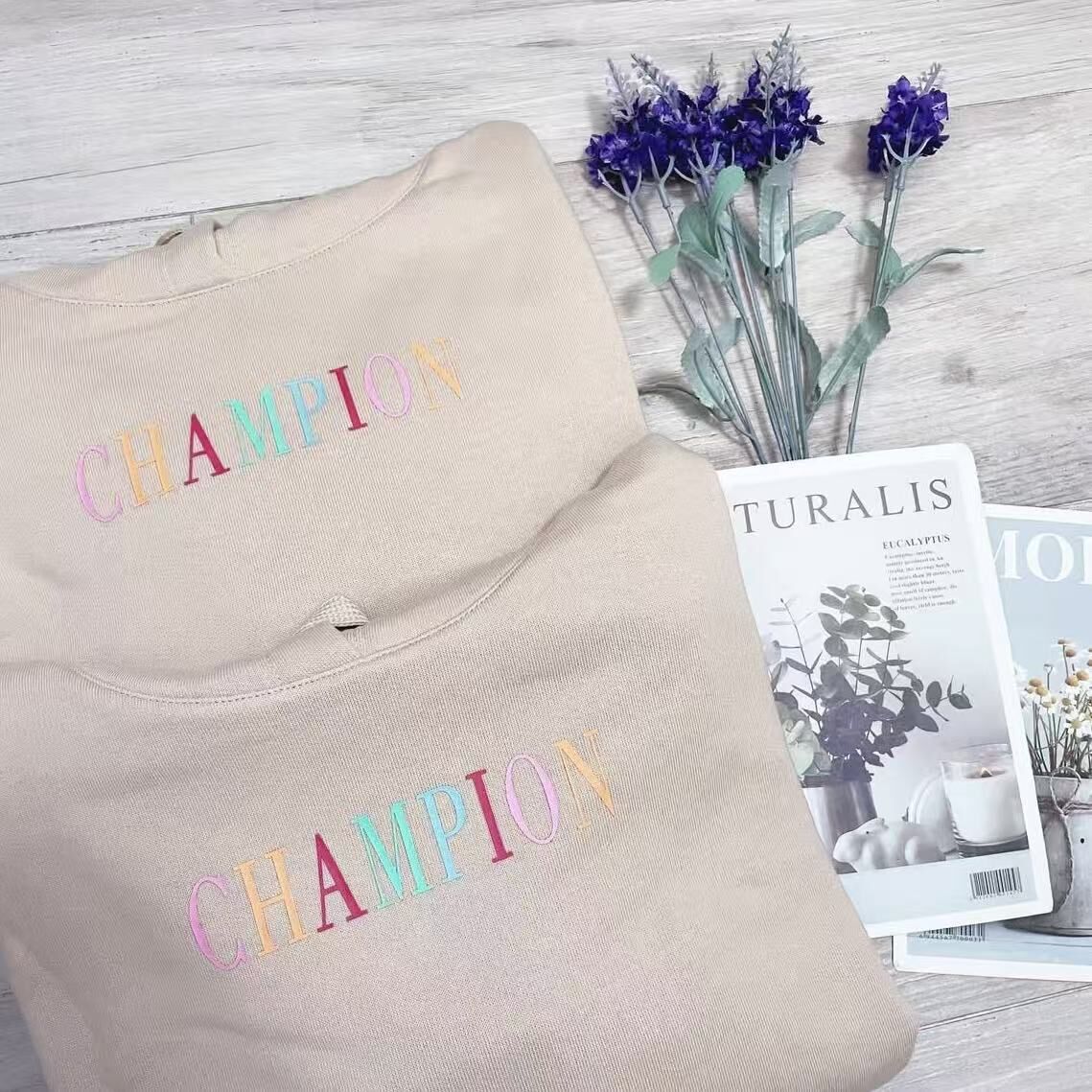 CHAMPION RAINBOW MIDDLE LOGO CROP HOODIES