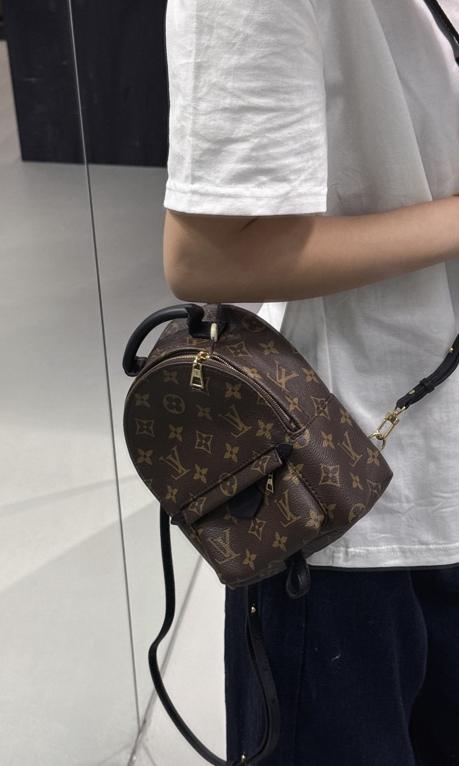 Louis Vuitton LV 小書包