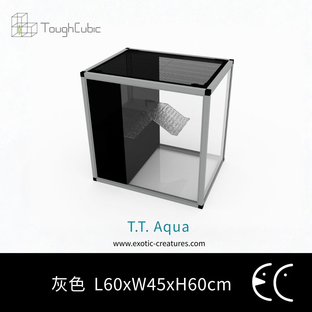 Tough Cubic T.T. Aqua 水龜高清玻璃缸60cm