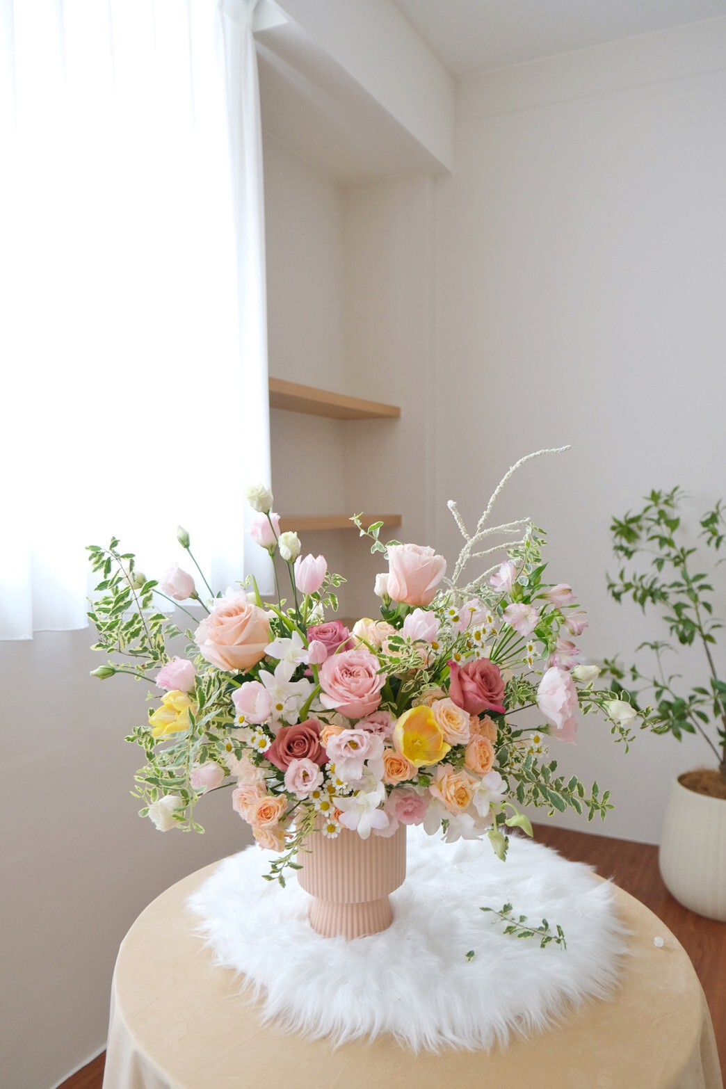 鮮花盆花 / 甜夏