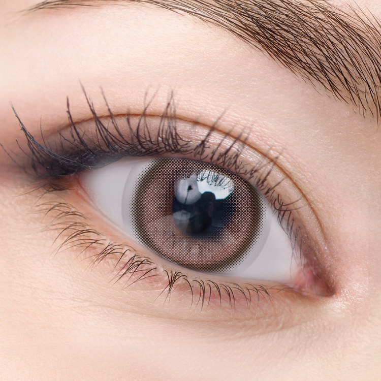 [日拋] Neoism 1 Day MILK BROWN 每日拋棄彩妝隱形眼鏡｜每盒50片