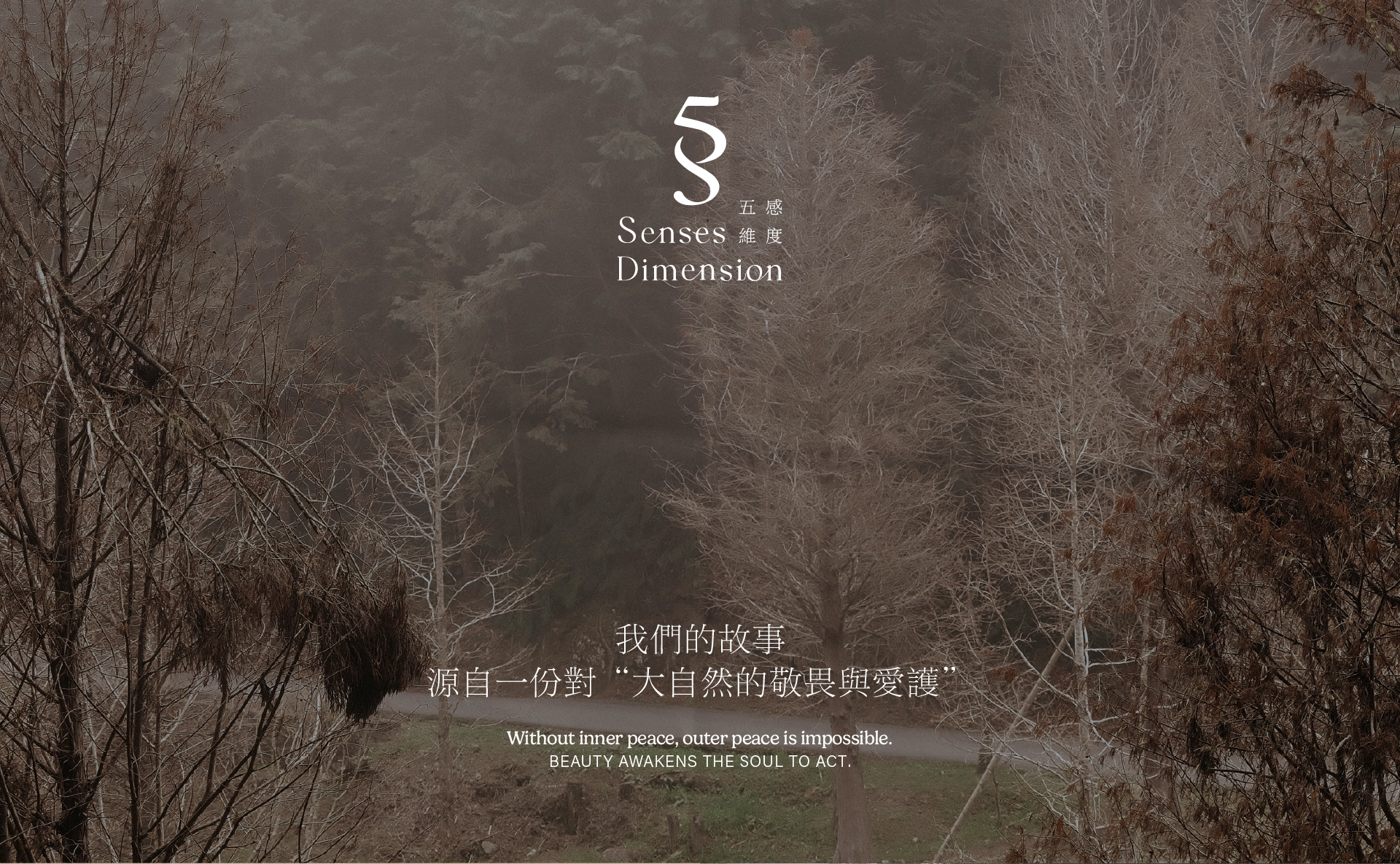 5 Senses Dimension 五感維度