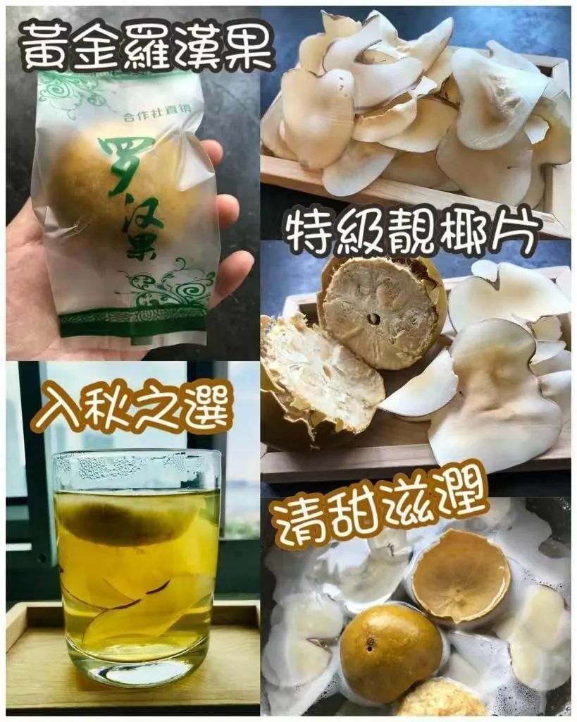 H20592一級特大黃金羅漢果 特級乾椰片