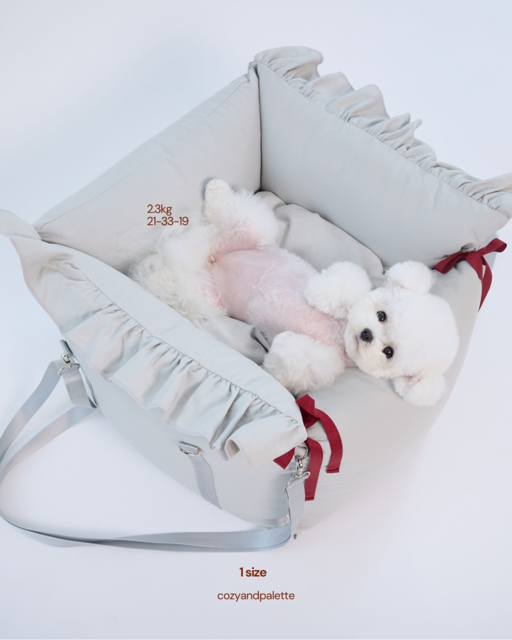 COZY-N 旅行膠囊汽車安全座椅_迷霧灰