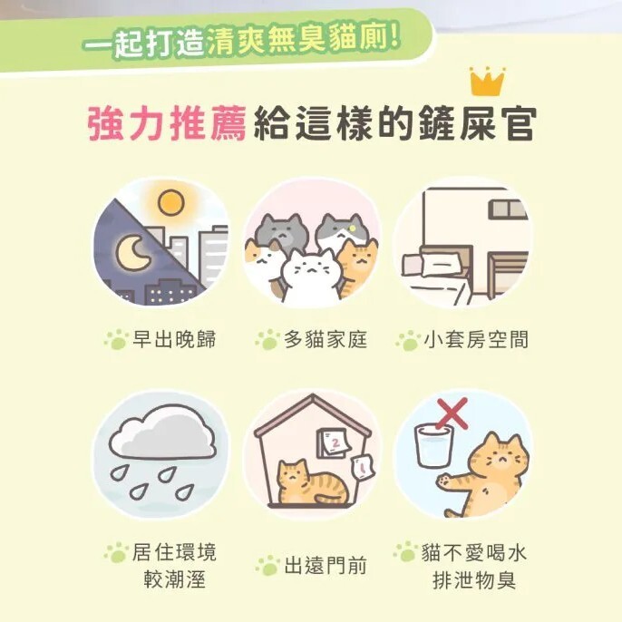 超凝小姐 Lady N｜貓砂益生菌除臭粉