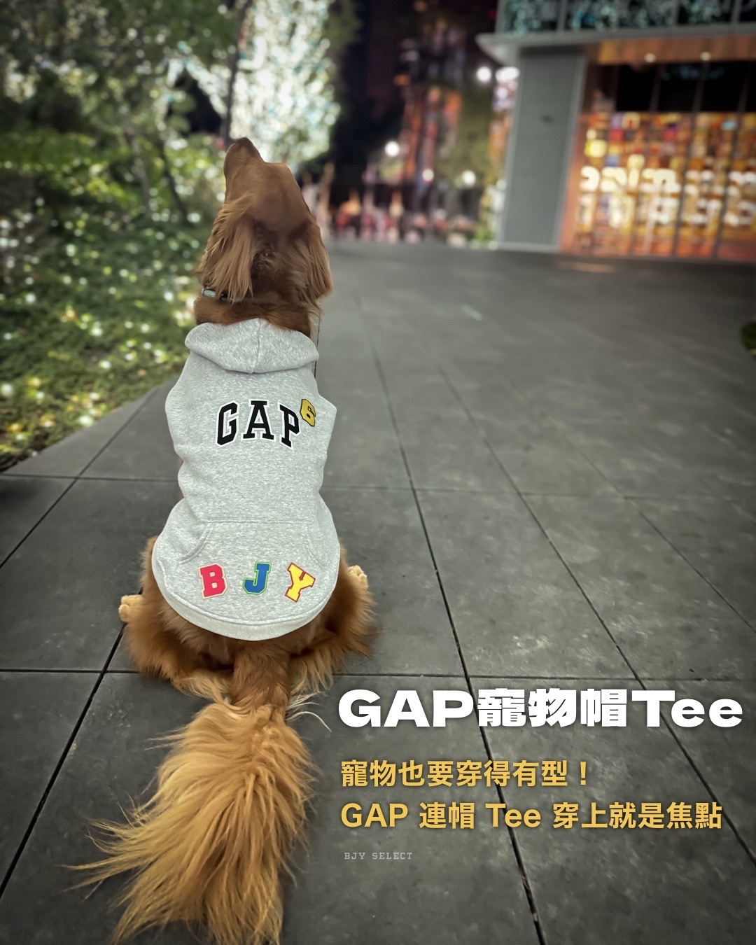#日本代購現貨 GAP 寵物帽Tee 三色