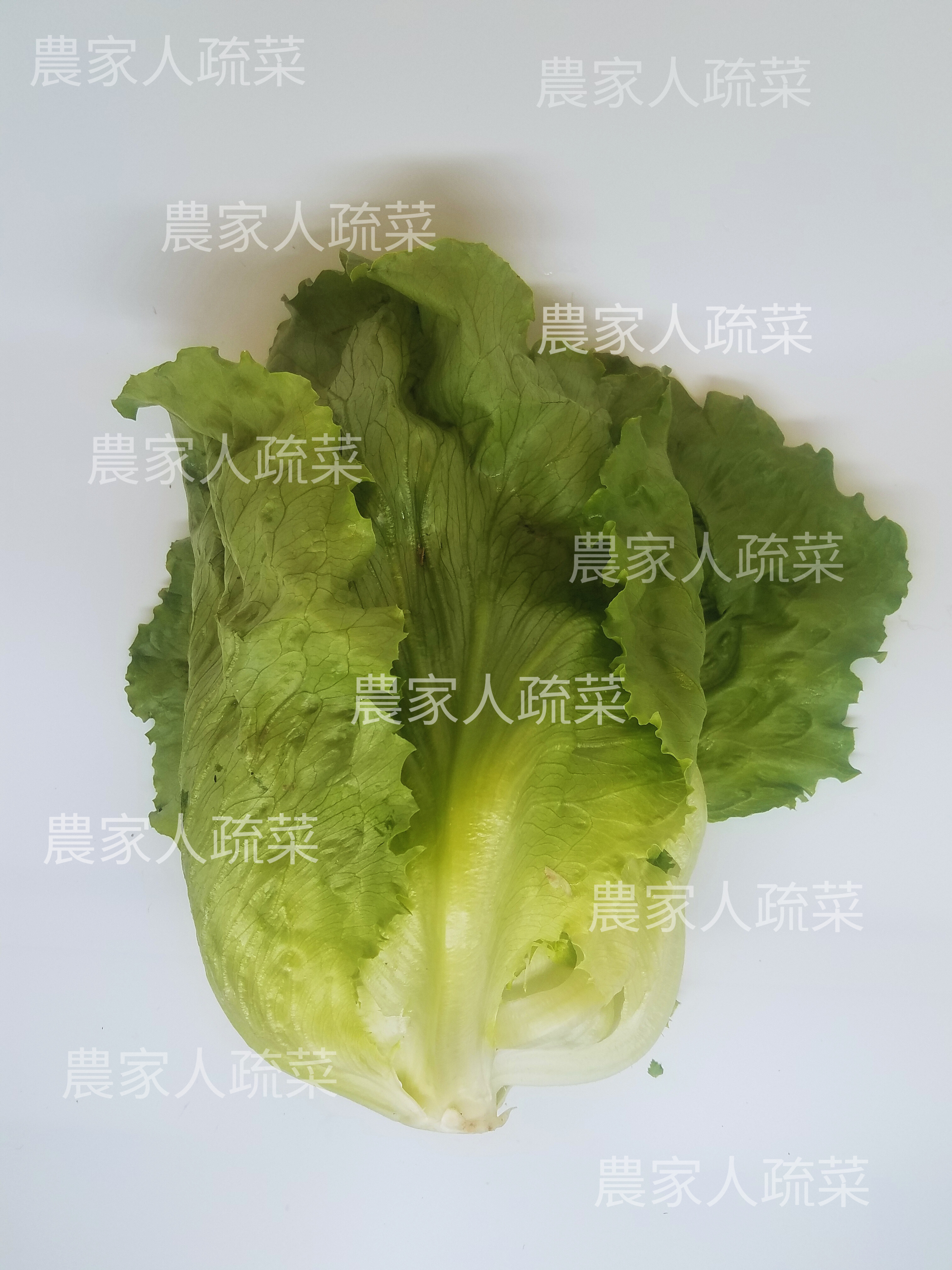 新界本地包生菜（約550克）