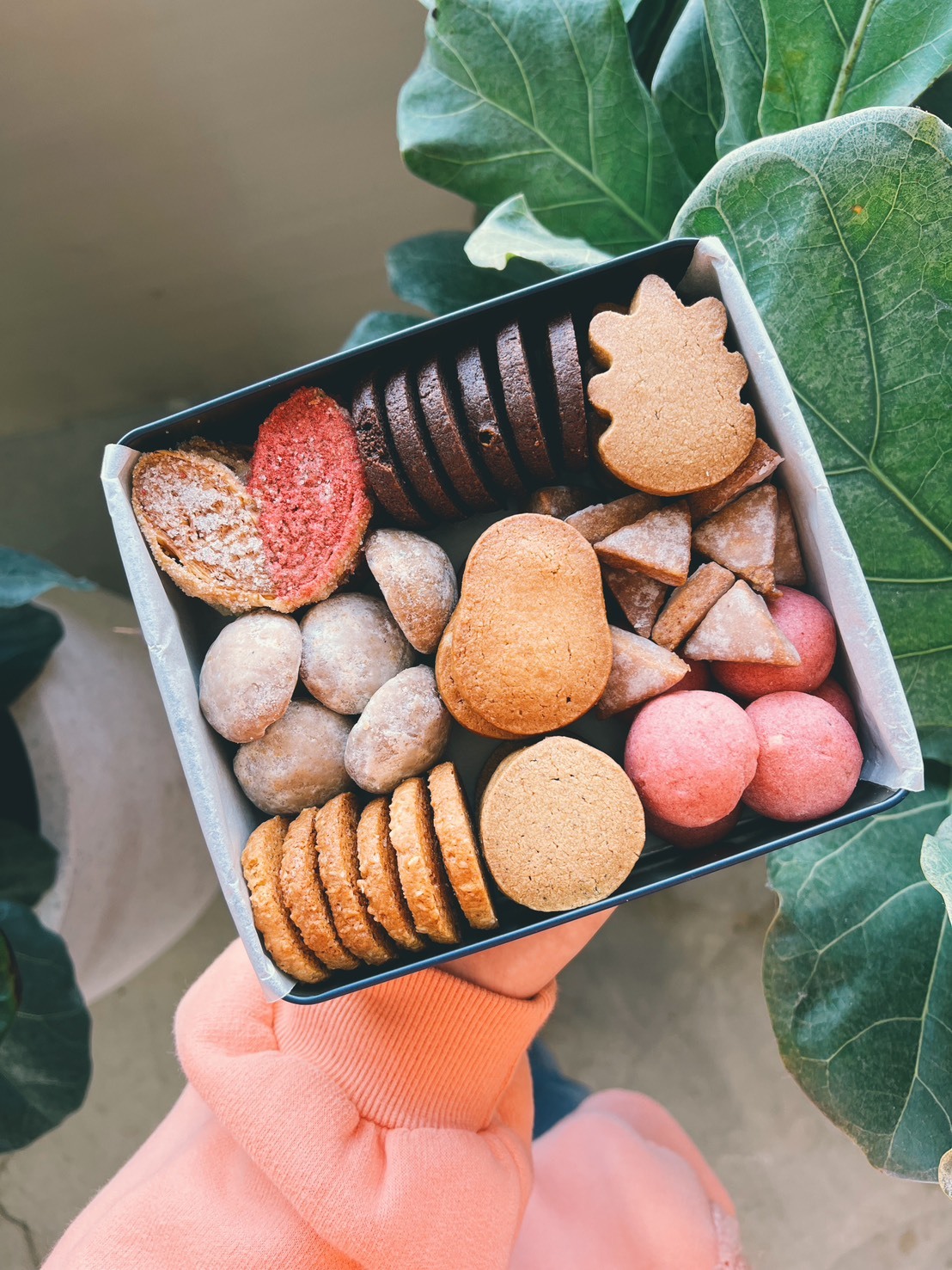 2026 馬年鐵盒餅乾 6盒優惠價 免運組