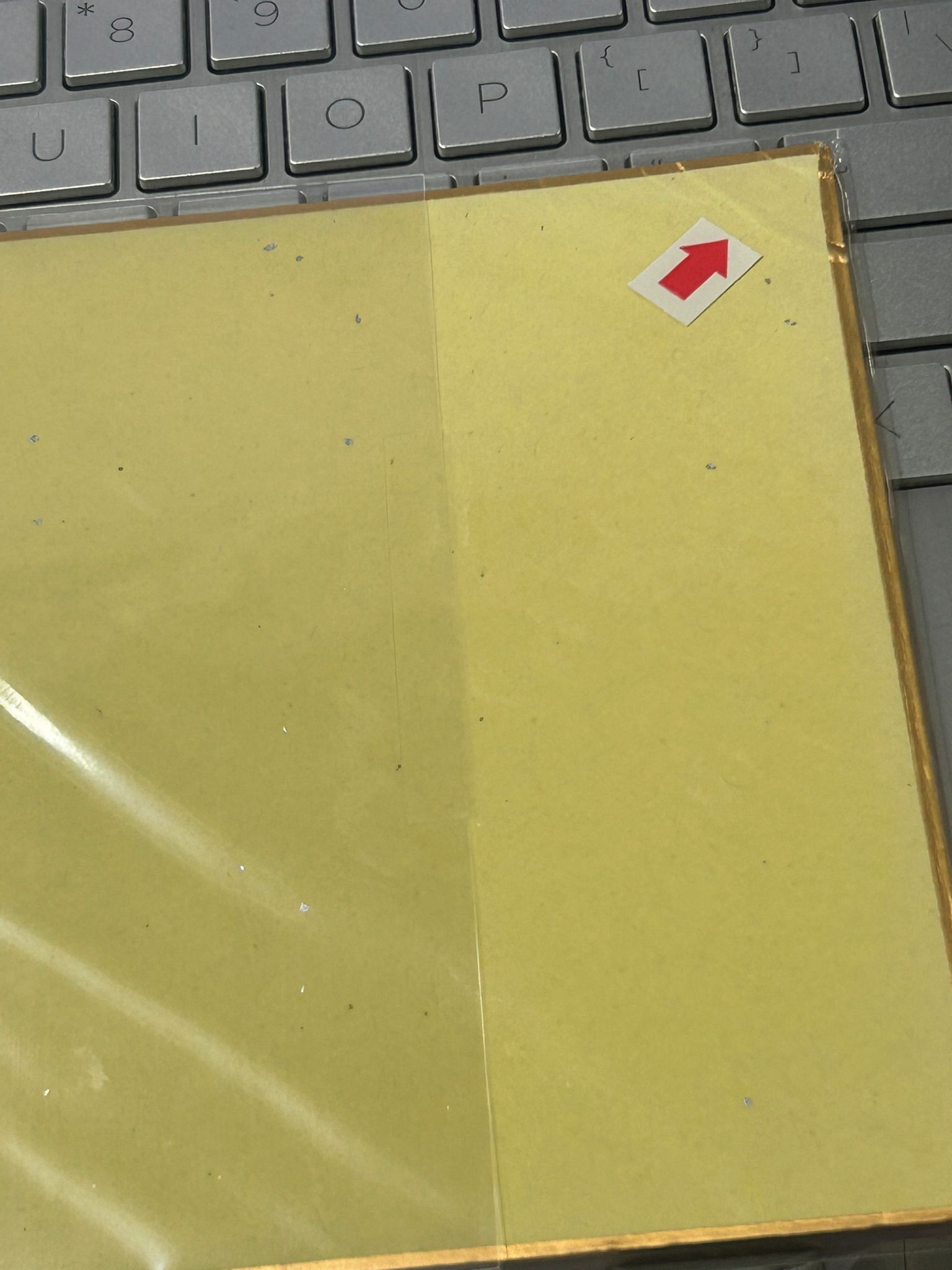 ES LEO  色紙 背瑕#347