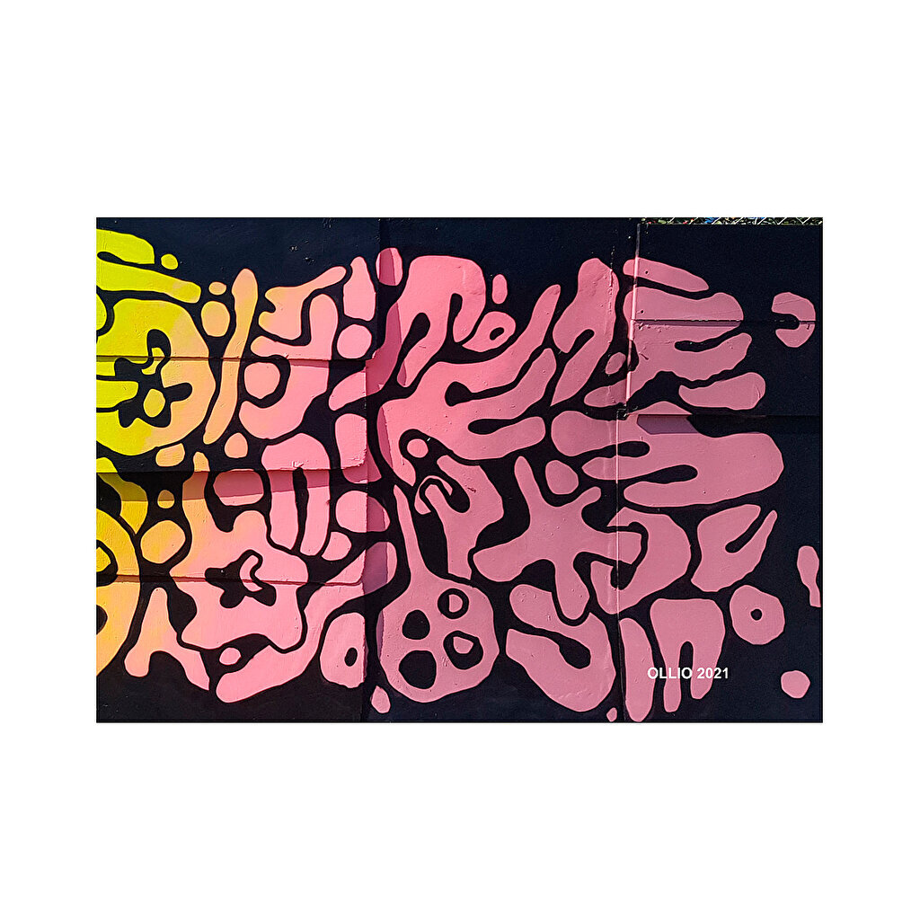 OLLIO 2021