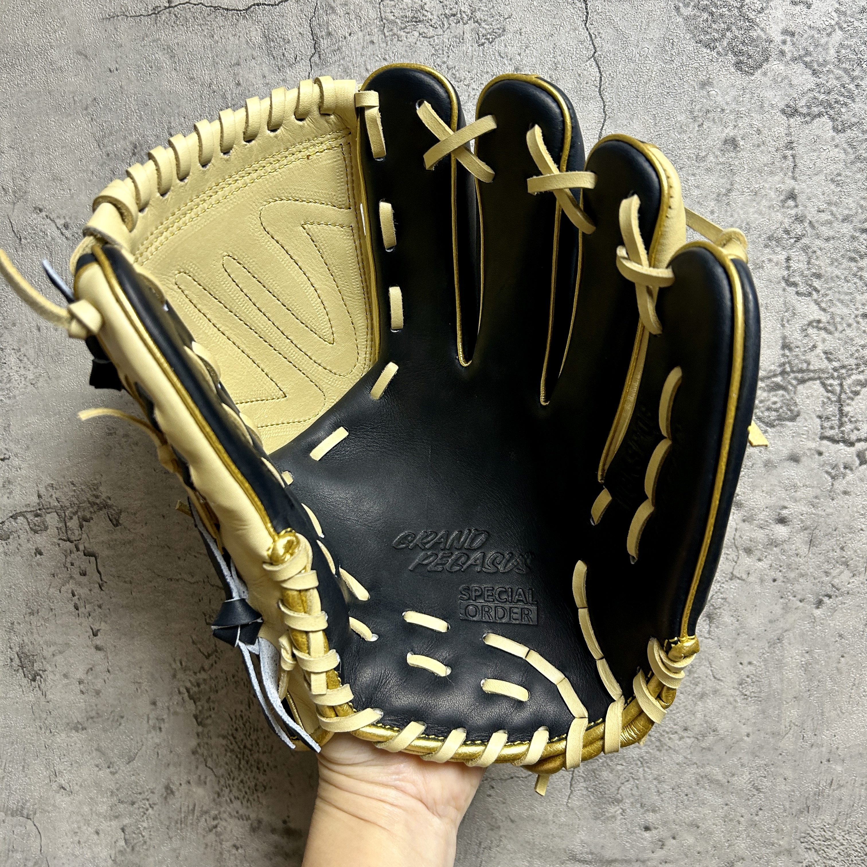 【照片分享】WorldPegasus 獨角獸 硬式 外野 WGKGP13