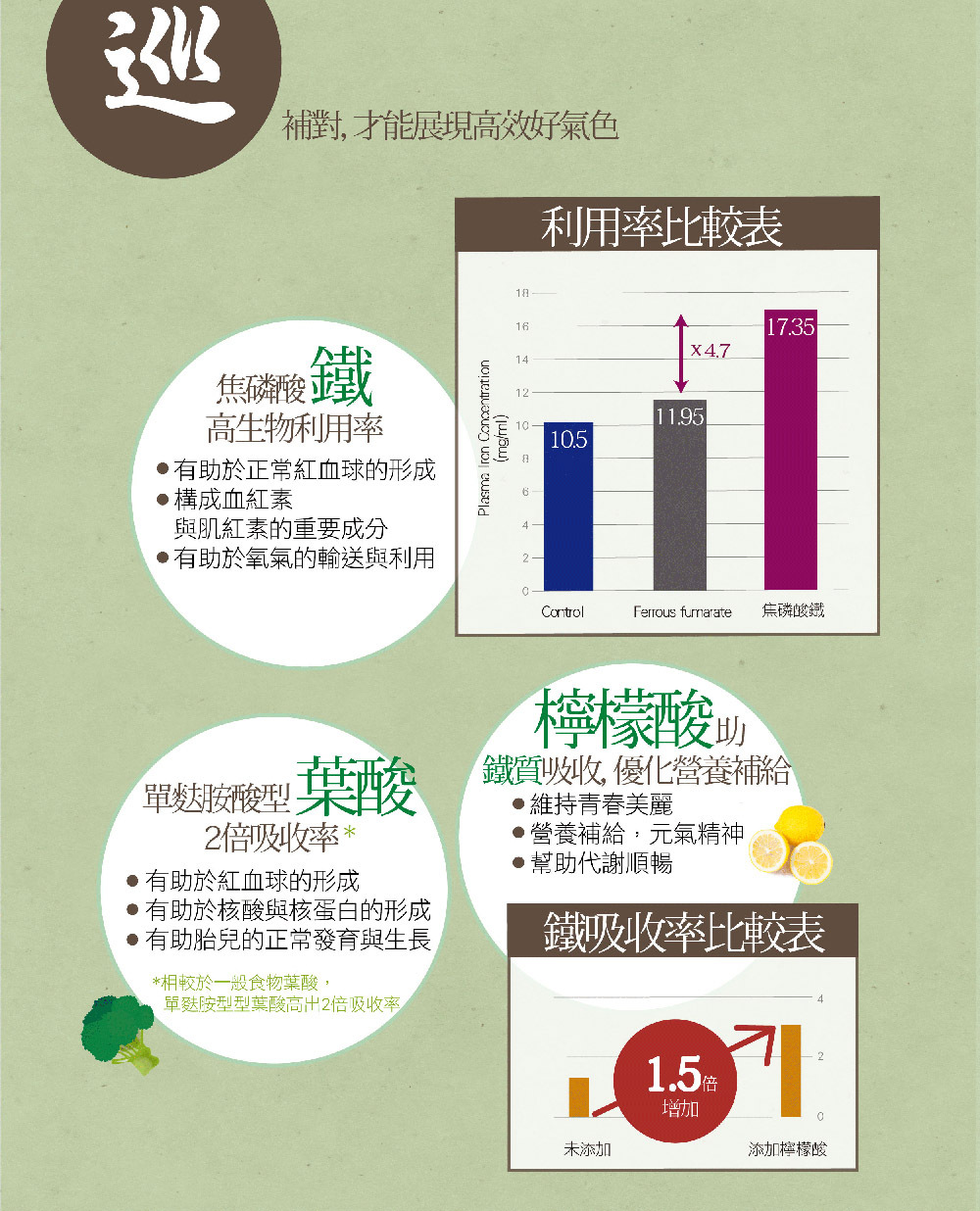 氣巡棗鐵 介紹圖 12