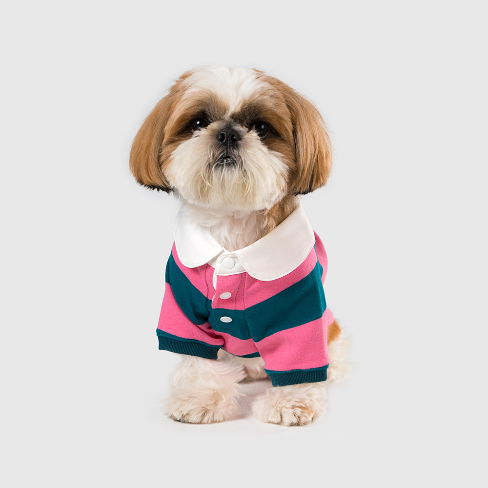 PETS WEAR | 條紋POLO衫