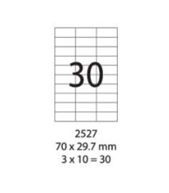 SMART LABEL 2527-100  70 x 29.7mm (30'S) 128169021