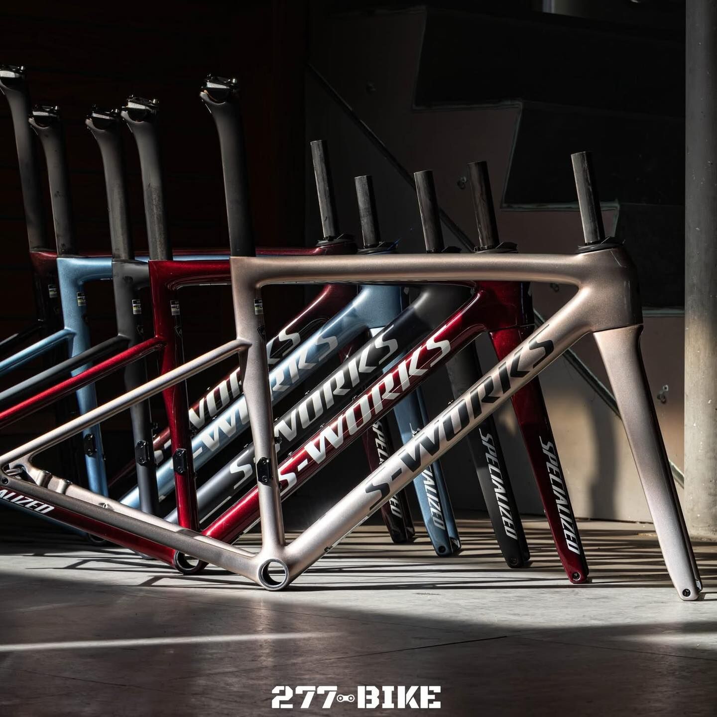 【SPECIALIZED】 公路車架25 SW TARMAC SL8 DISC 香檳金