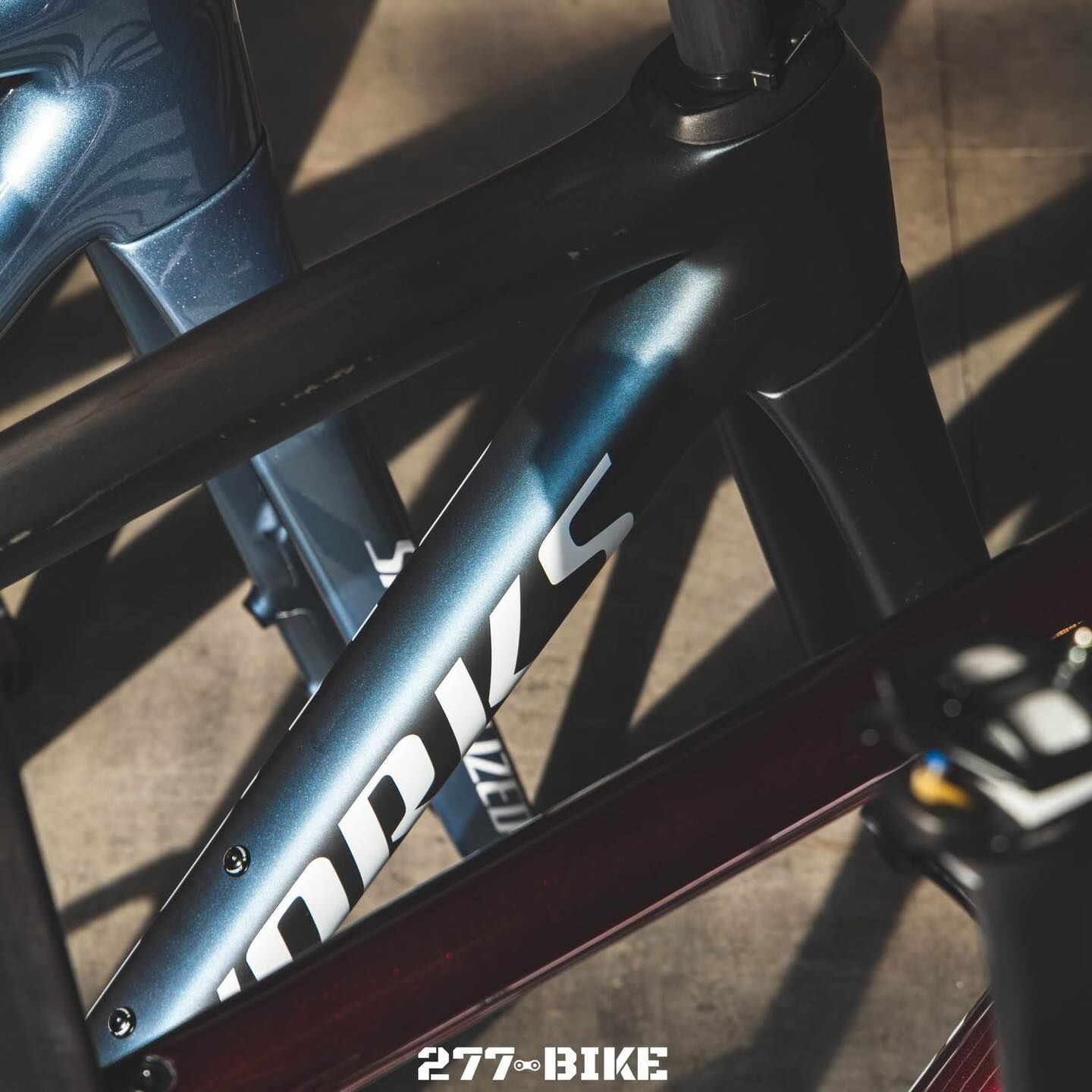 【SPECIALIZED】 公路車架25 SW TARMAC SL8 DISC 霓虹藍