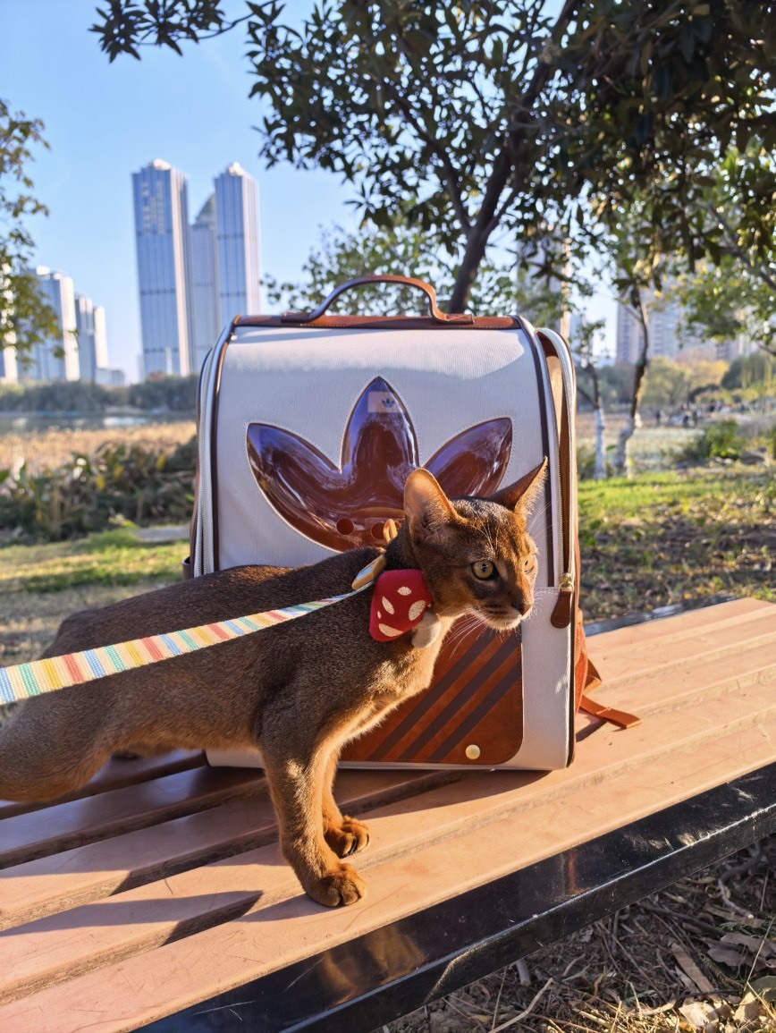 【預購】ADIDAS ORIGINALS 35.5L 寵物外出包 落葉棕 KH3419