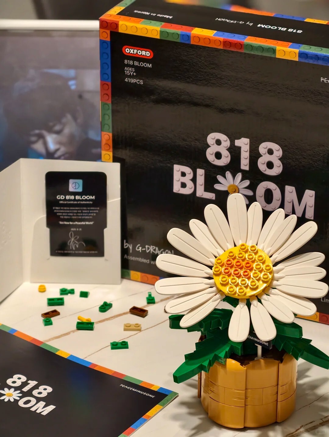 現貨 限量收藏🔥 G-DRAGON × OXFORD《818 BLOOM》聯名 限量雛菊積木