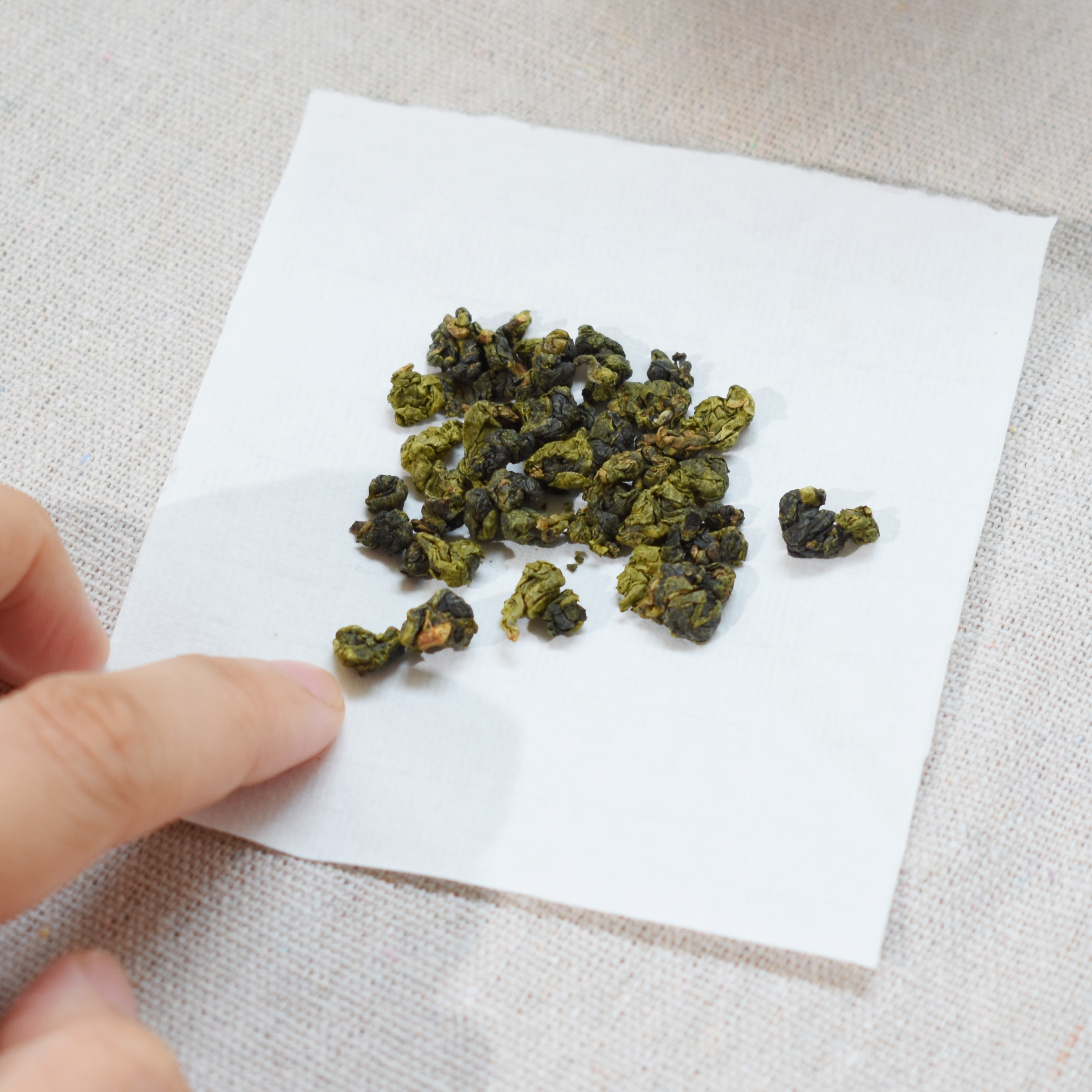 2025年 春摘 台灣南投 沙里仙 頂級高山烏龍茶 輕發酵