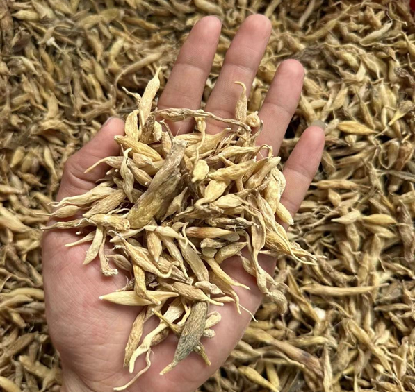 RV032 野生麥冬 300G