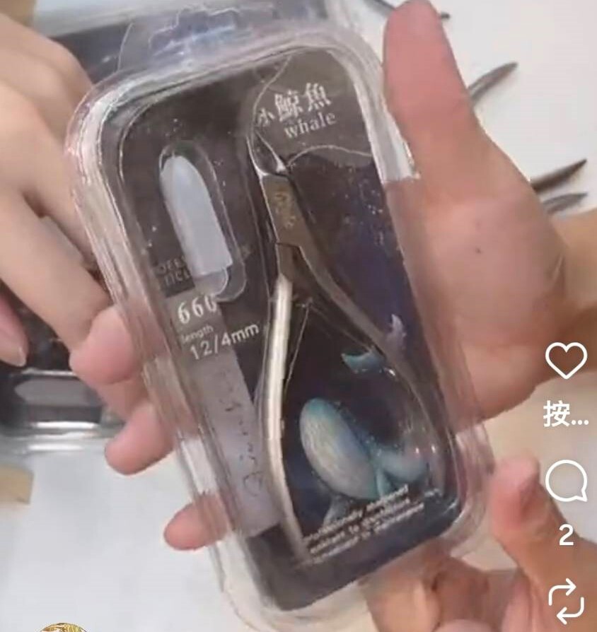 [1211直播007]小鯨魚甘皮剪