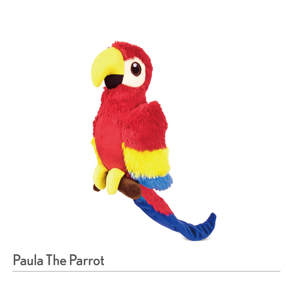 【寵物陪伴、抗憂鬱玩具】P.L.A.Y. 魅力珍禽-寶拉鸚鵡