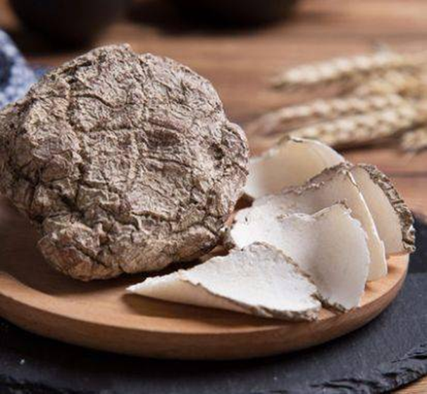 RV008 特大虎乳靈芝 300G