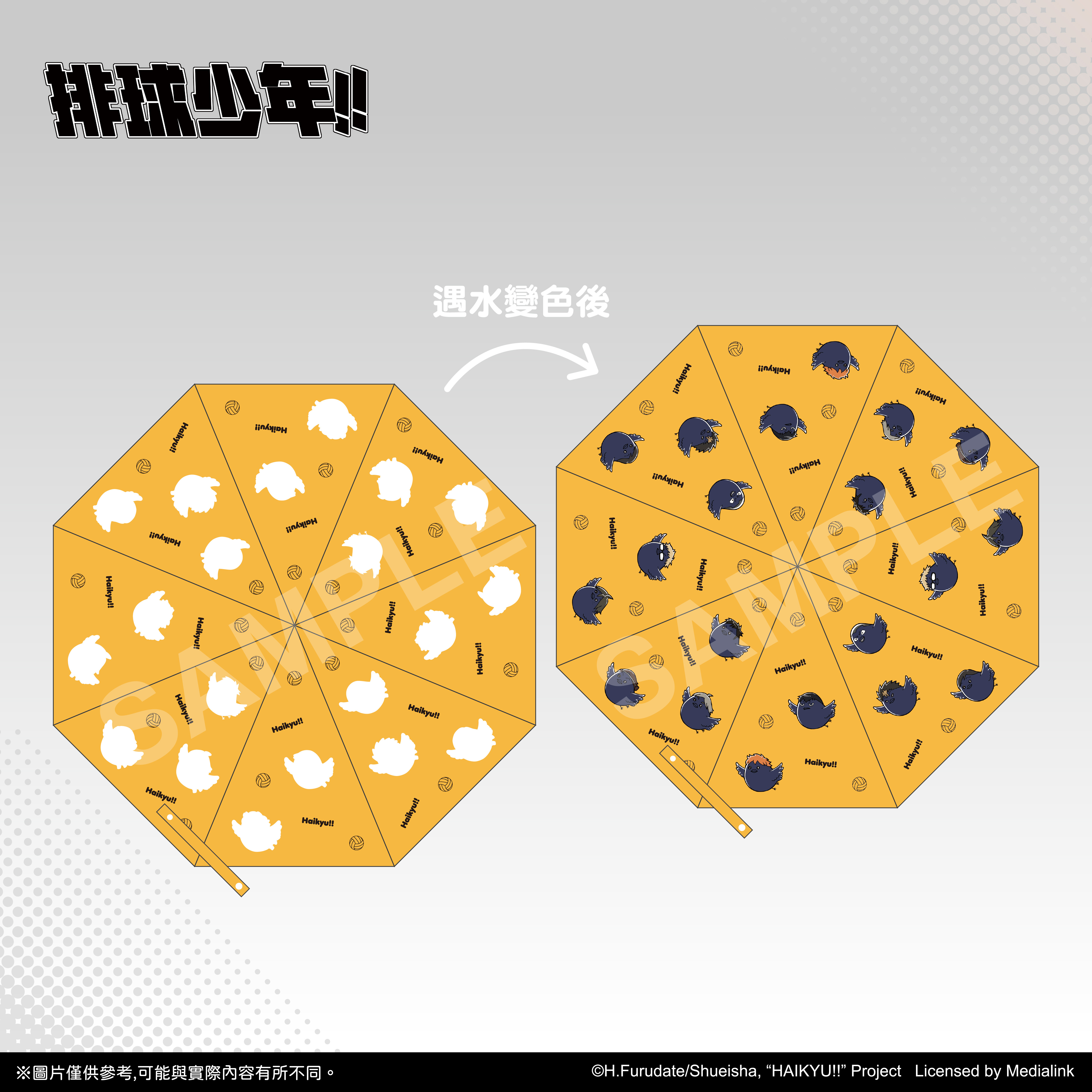 【預購】排球少年!!-摺疊傘-烏鴉