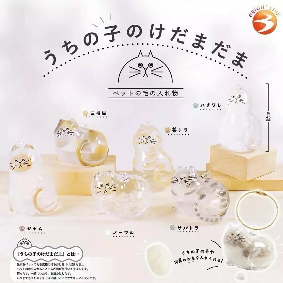 【逢甲FUZZY】日本 貓毛收集扭蛋 透明 收納盒 鑰匙扣 紀念品