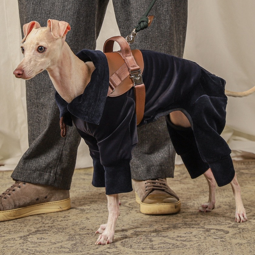 Suede All-in-One Suit