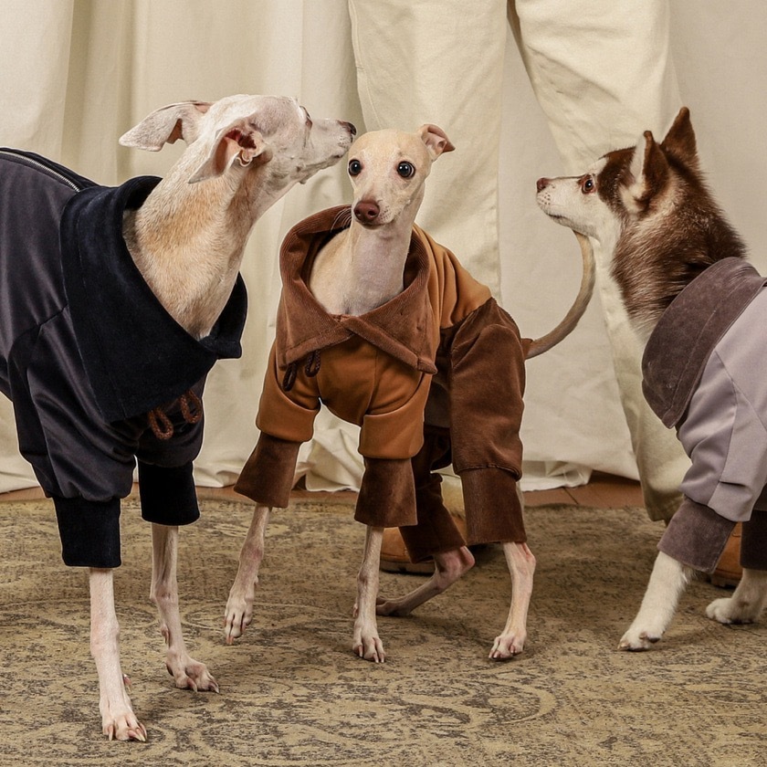 Suede All-in-One Suit