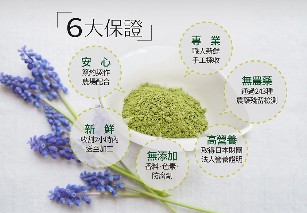 ITOH 大麥若葉 青汁 說明圖 8