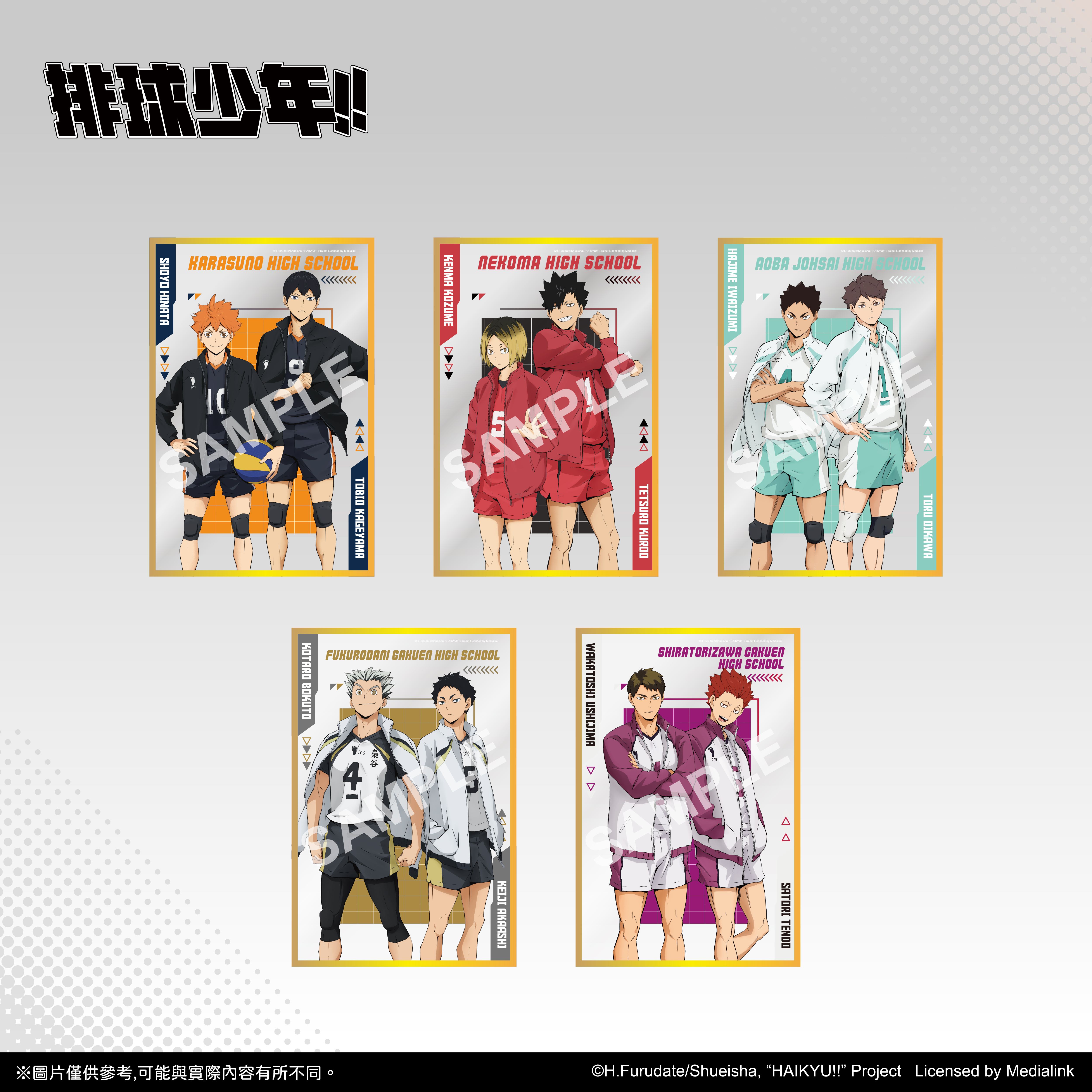 【預購】排球少年!!- 盲抽壓克力色紙 (5款)