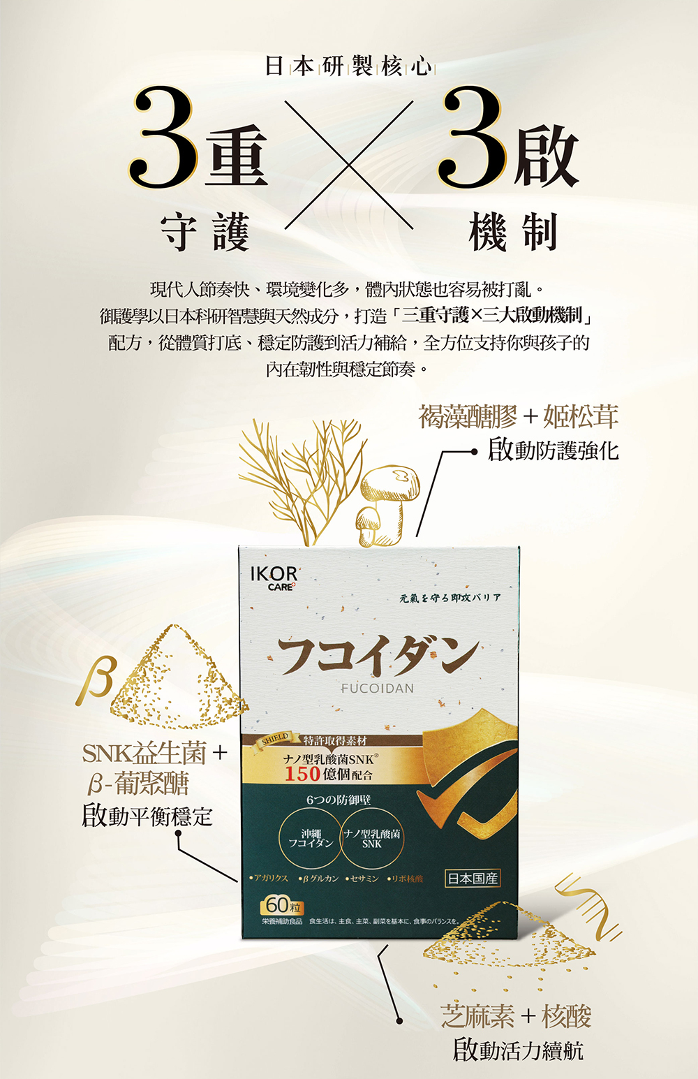 IKOR 衛護學 褐藻醣膠 SNK益菌 說明圖 3