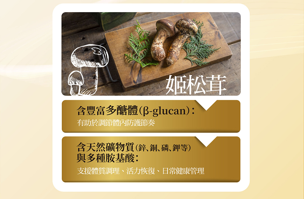 IKOR 衛護學 褐藻醣膠 SNK益菌 說明圖 5