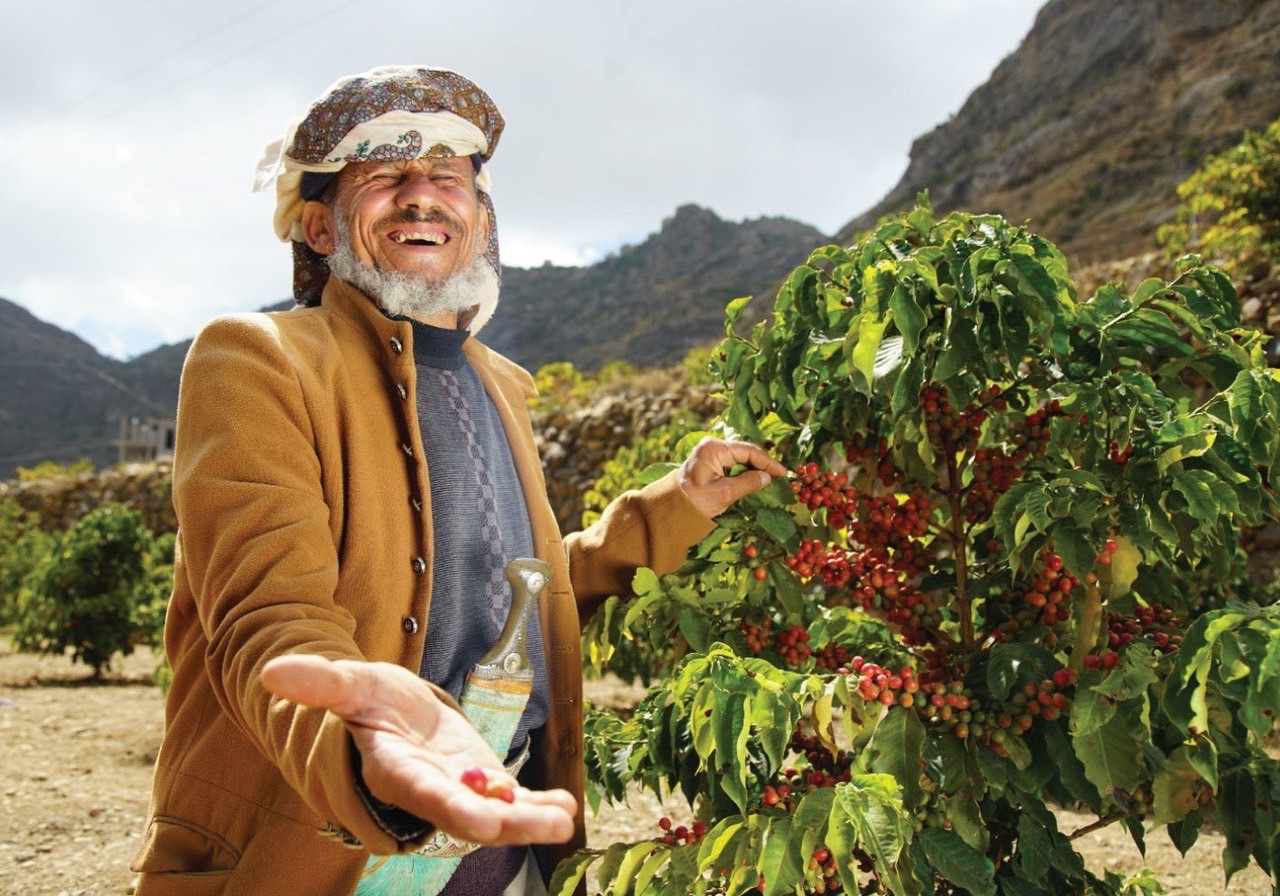 葉門 小摩卡 哈拉茲 日曬 中焙 咖啡豆